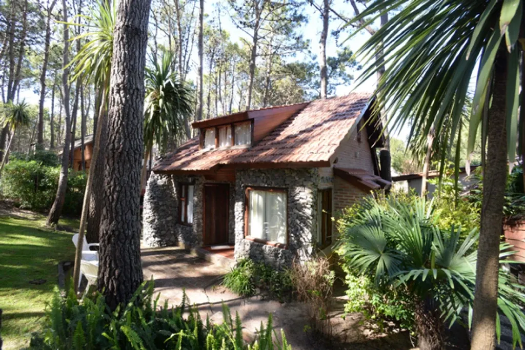 Espacio de cabaña y entorno natural