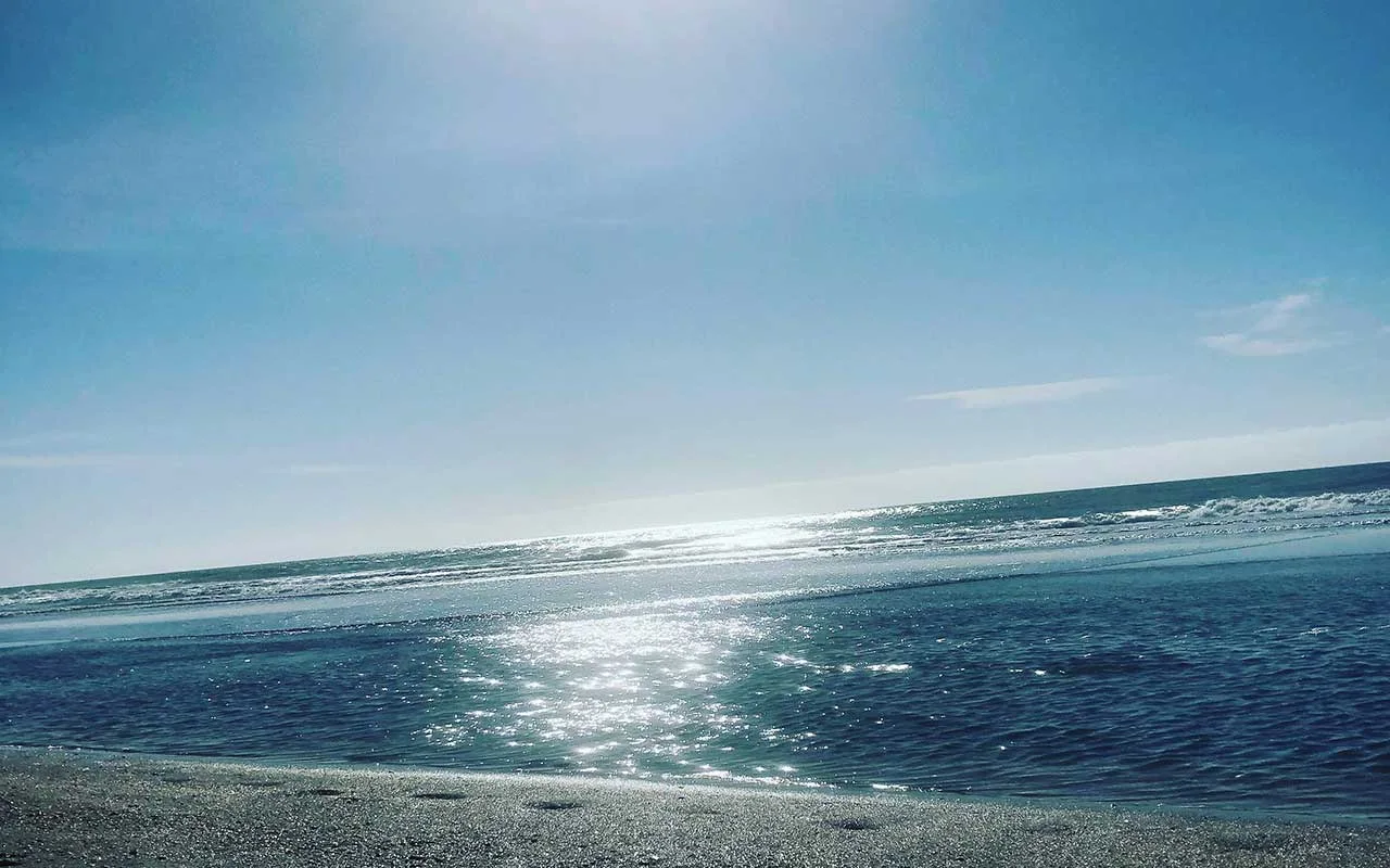 Costa y vegetación de Mar Azul cerca del complejo